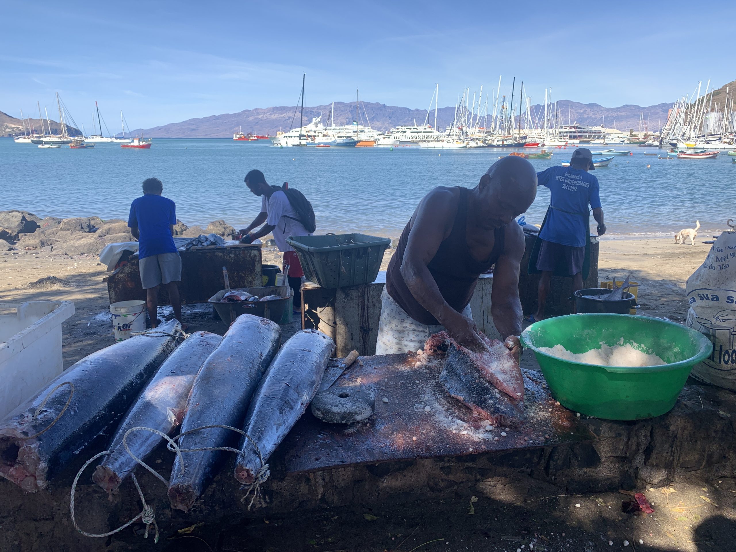 Cabo Verde No Stress SY Hullu Poro